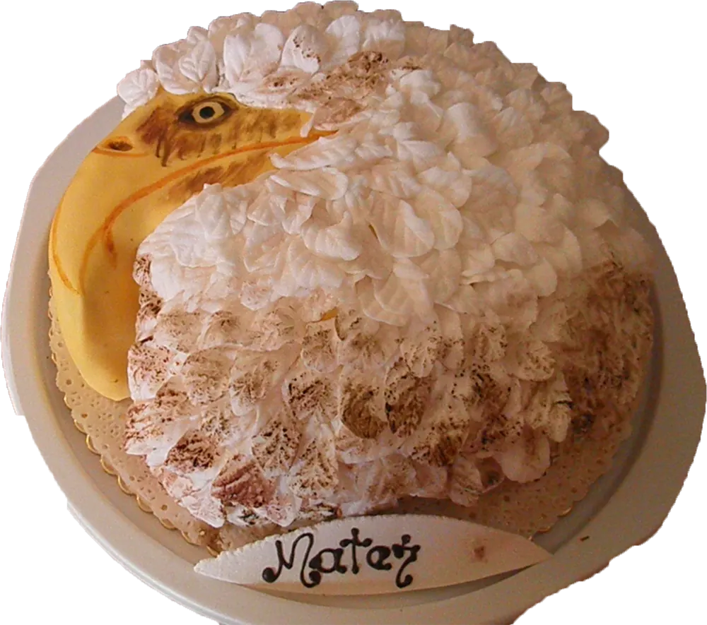 Torta Orel